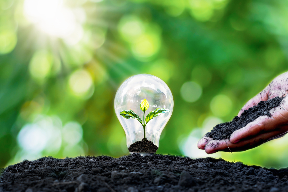 The Future of Solar Energy in the Philippines