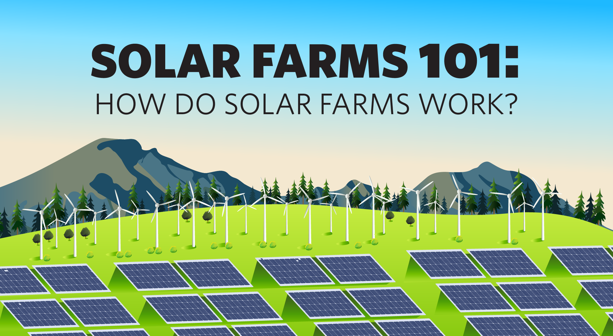 Solar Farms 101: How do Solar Farms Work?
