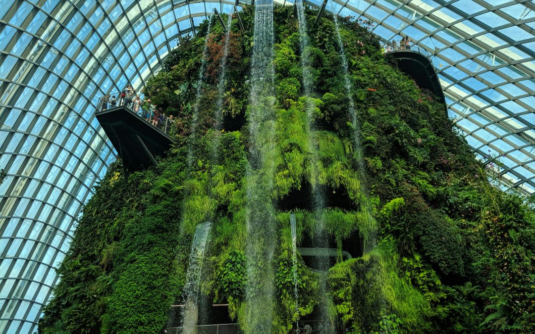 Understanding LEED Certification in the Philippines: A Beginner’s Overview